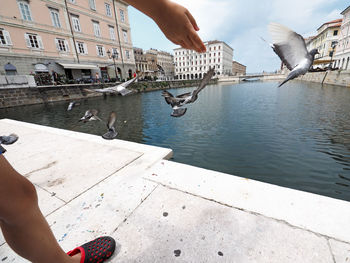 Low section of woman by canal in city