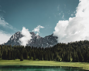 Panoramic shot of trees and mountain against sky