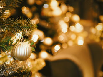 Close-up of christmas tree at night