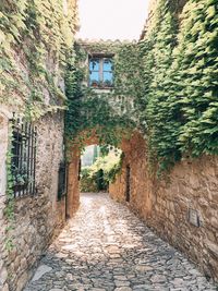 Narrow alley amidst buildings