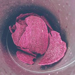 Close-up of ice cream in plate
