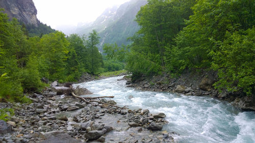 Scenic view of river flowing through rocks