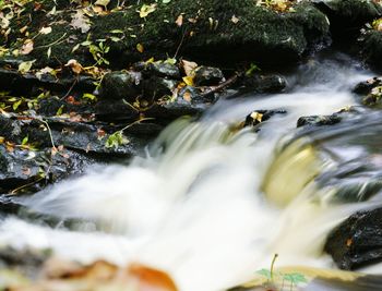 Close-up of water flowing over river