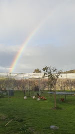 Scenic view of field against rainbow in sky