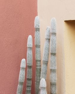 Close-up of window on wall