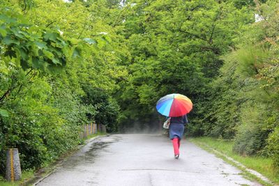 Rear view of woman with multi colored umbrella walking on wet road against trees during monsoon