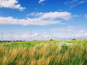 Windmills on grassy field against sky