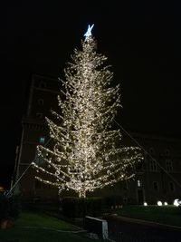 Illuminated christmas tree at night