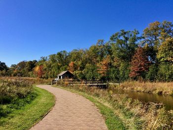 Footpath amidst trees against clear blue sky