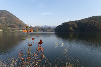 Scenic view of lake against sky