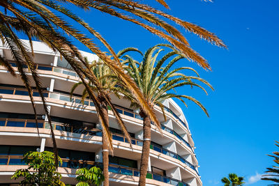 Beautiful luxury hotel with palms all around it