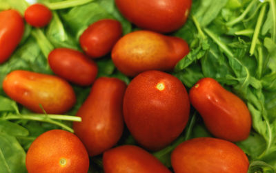 High angle view of tomatoes