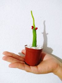 Person holding red chili pepper against white background