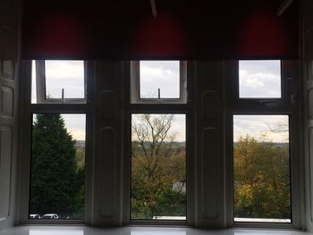 Trees seen through window