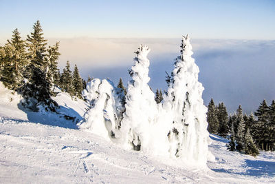 Scenic view of snow covered mountains against sky