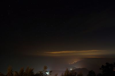 Scenic view of silhouette tree against sky at night