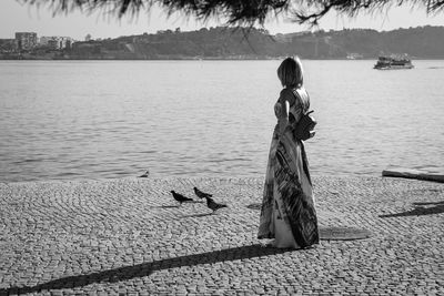 Rear view of birds on lakeshore