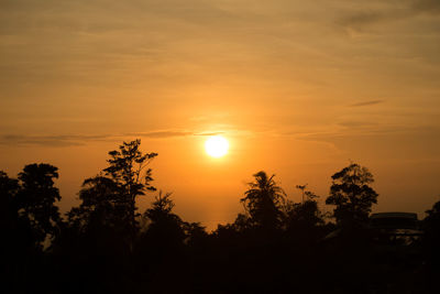 Silhouette trees against sky during sunset