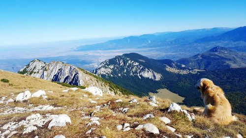 View of a horse on mountain against sky