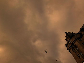 Low angle view of birds flying against sky