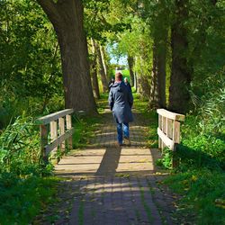 Rear view of man walking on footpath in forest