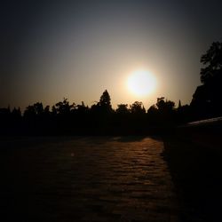 Silhouette of trees at sunset