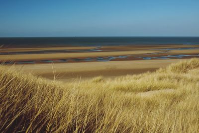 Scenic view of sea against clear sky