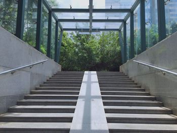 Staircase leading towards trees