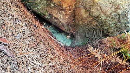 High angle view of water