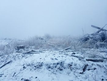 Close-up of snow covered landscape against sky