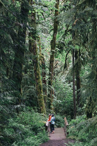 A young couple enjoys a hike in a forest in the pacific northwest.