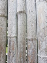 Full frame shot of bamboo fence