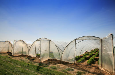 Scenic view of field against clear blue sky