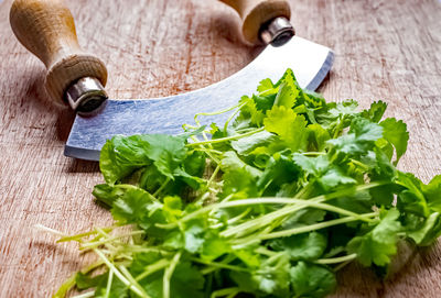 Close-up of chopped vegetables on table