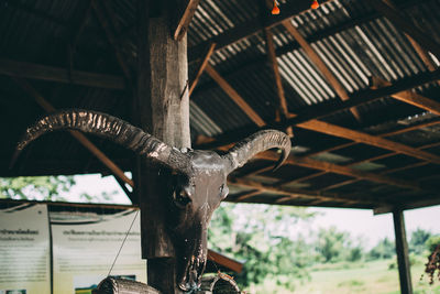 Close-up of a metallic structure