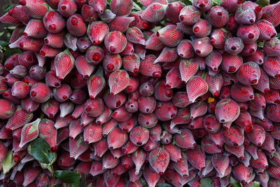 Full frame shot of strawberries