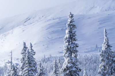 Snow covered landscape against mountain