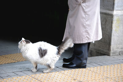 Low section of person standing on footpath