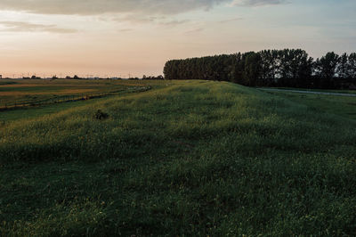 Scenic view of field against sky during sunset