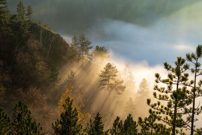 Dramatic scene of sun rays braking mist and clouds on a mountain peak