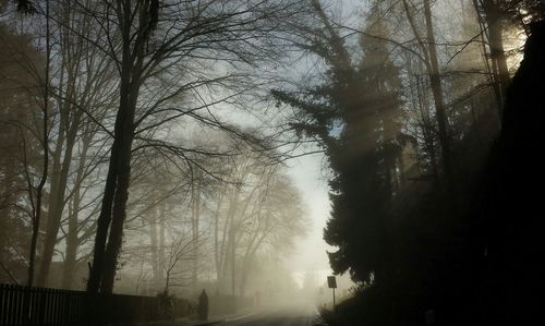 Road in foggy weather