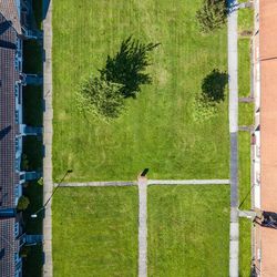 View of green field