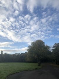 Trees on field against sky