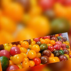 Close-up of multi colored candies