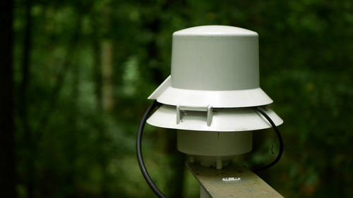Close-up of electric lamp in forest