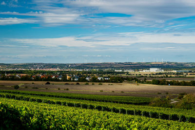 A landscape view from the vineyard of a corner from kitzingen 