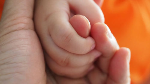 Close-up of parent and baby holding hands