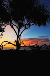 Silhouette trees on beach against sky during sunset