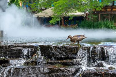 Scenic view of waterfall in lake