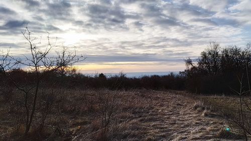 Scenic view of field against sky during sunset